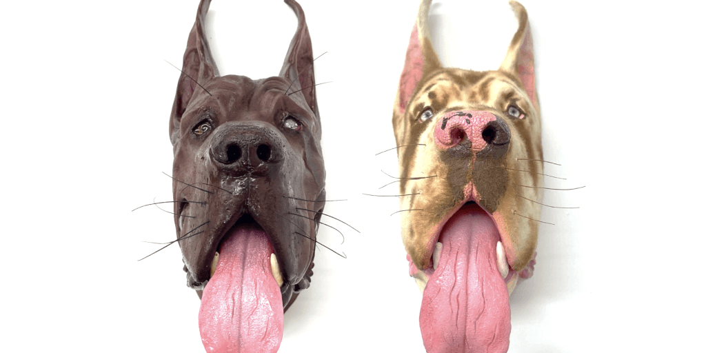 dog faces