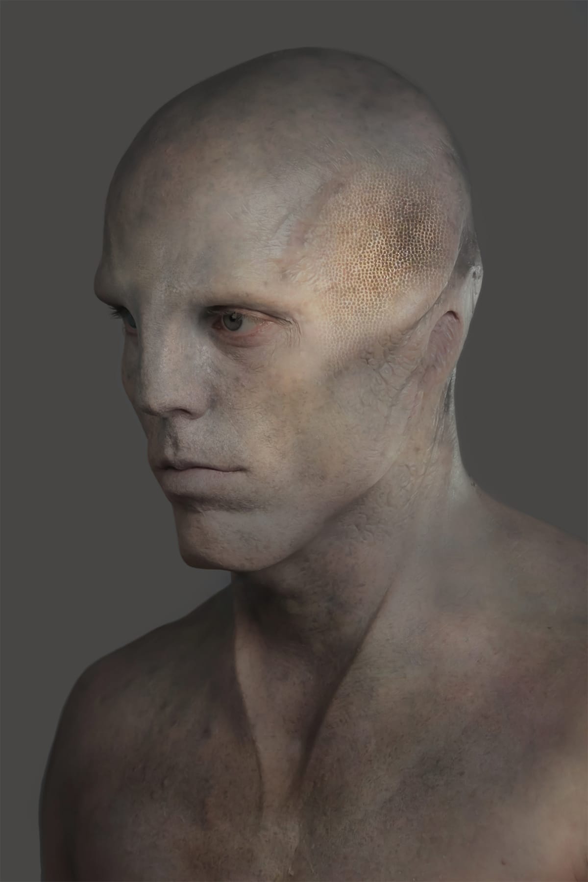 neill gortons work