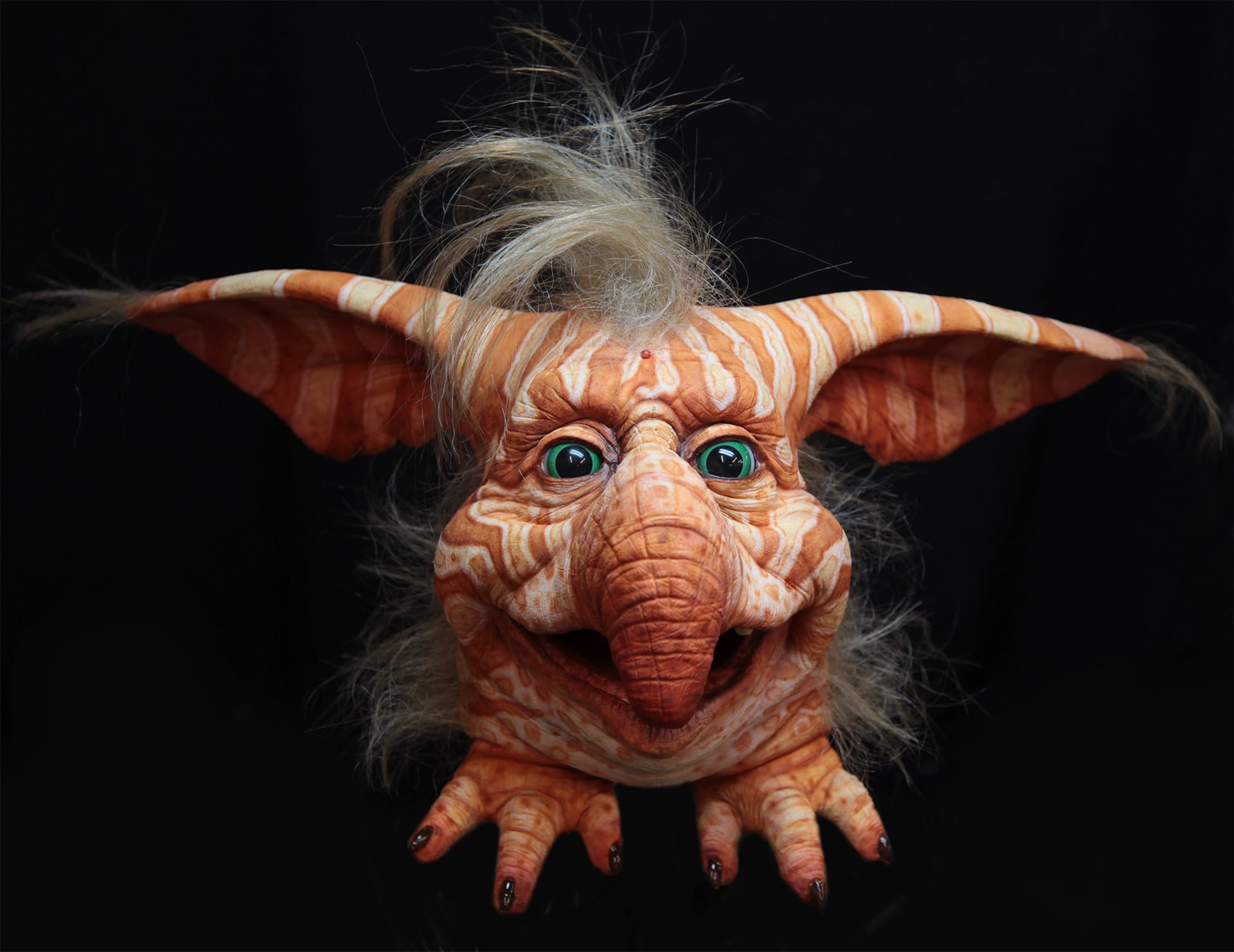 neill gortons work