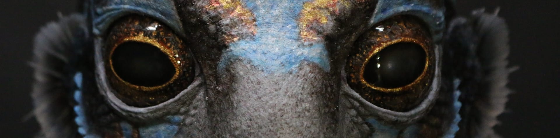 prosthetics
