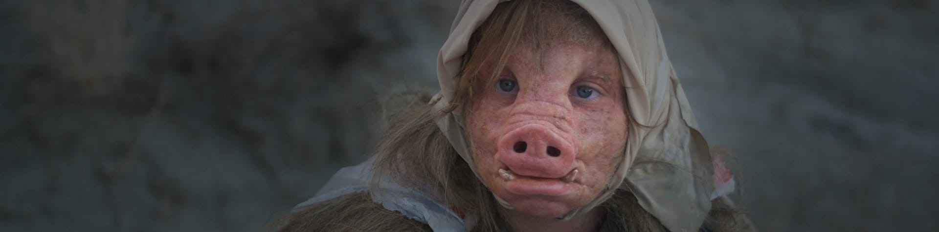prosthetics pig
