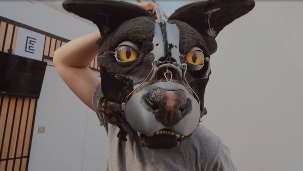 prosthetic dog head